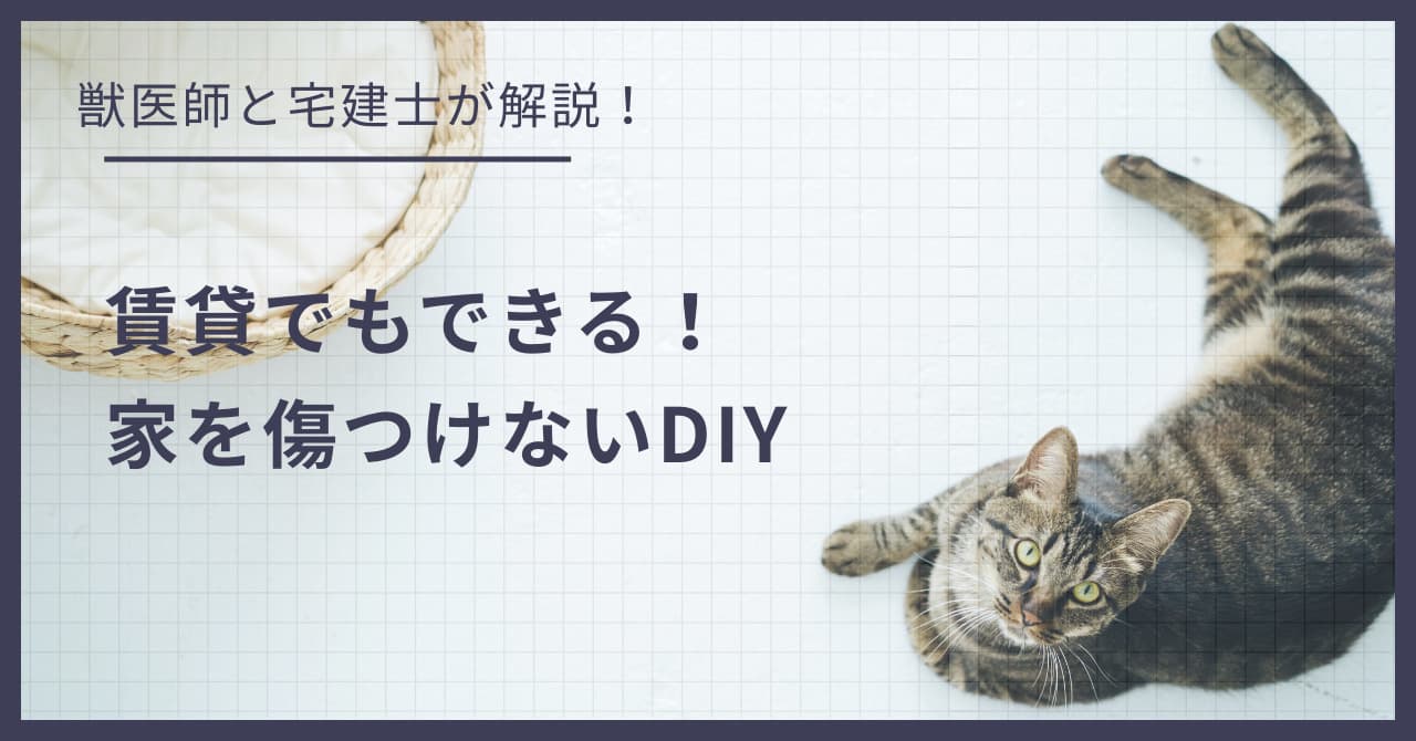 賃貸でもできる!壁・床を傷つけない猫のための最強DIYアイデア
