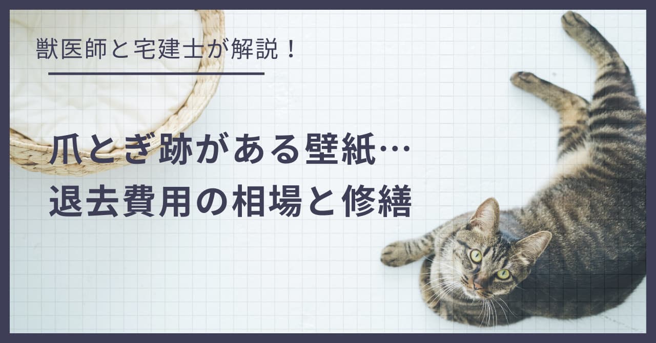 【原状回復】猫の爪研ぎでボロボロの壁紙…退去費用の相場と修繕方法