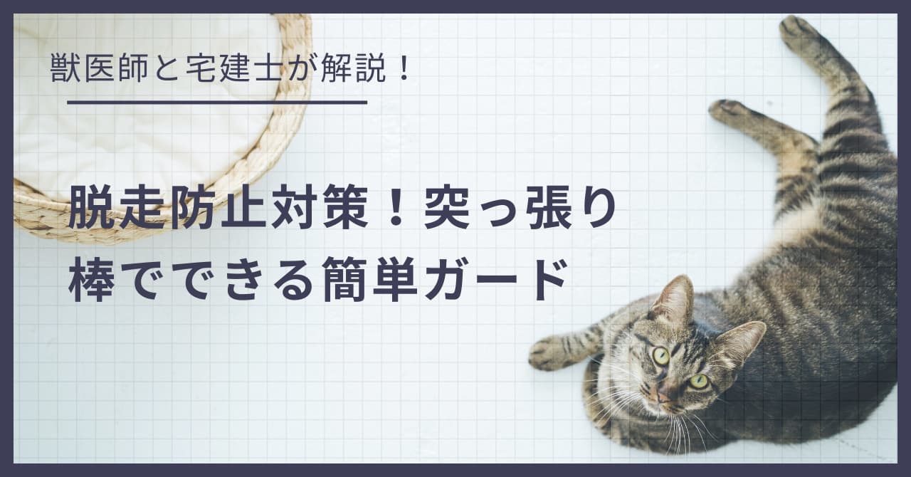 賃貸の窓・網戸の脱走防止対策!100均や突っ張り棒でできる簡単ガード