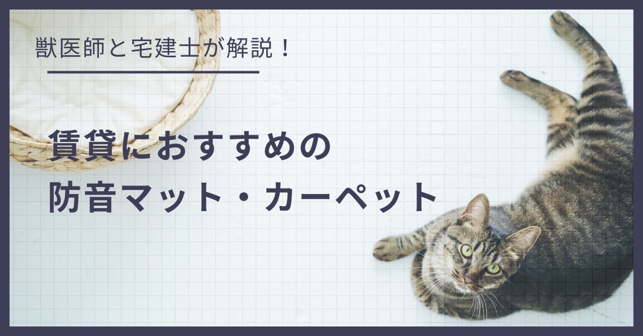 猫の足音対策に!賃貸におすすめの防音マット・カーペット選び