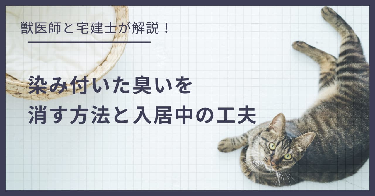 猫のニオイ対策!賃貸で染み付いた臭いを消す方法と入居中の工夫