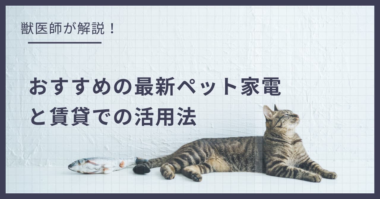 猫との暮らしがもっと楽しくなる!おすすめの最新ペット家電と賃貸での活用法