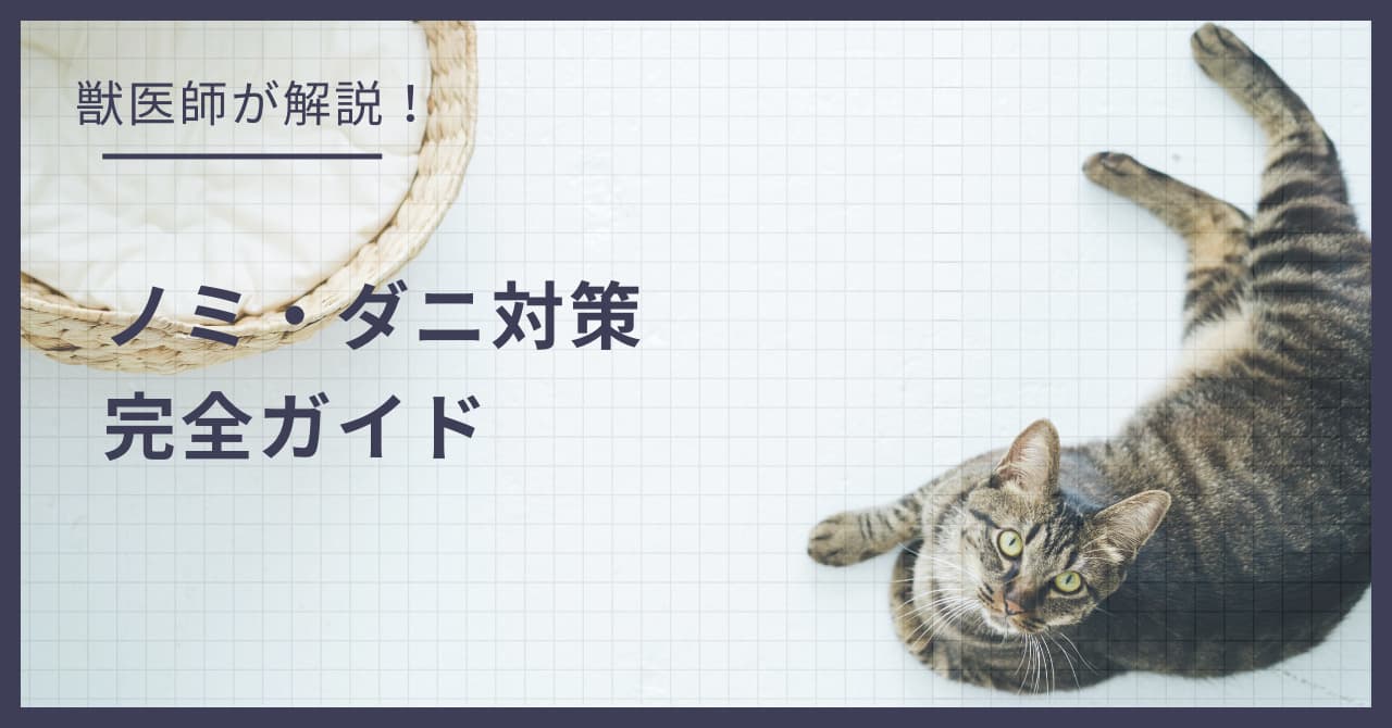 賃貸での「ノミ・ダニ」発生を防ぐ!入居前にバルサンは焚いていい?成分選びと正しい予防法