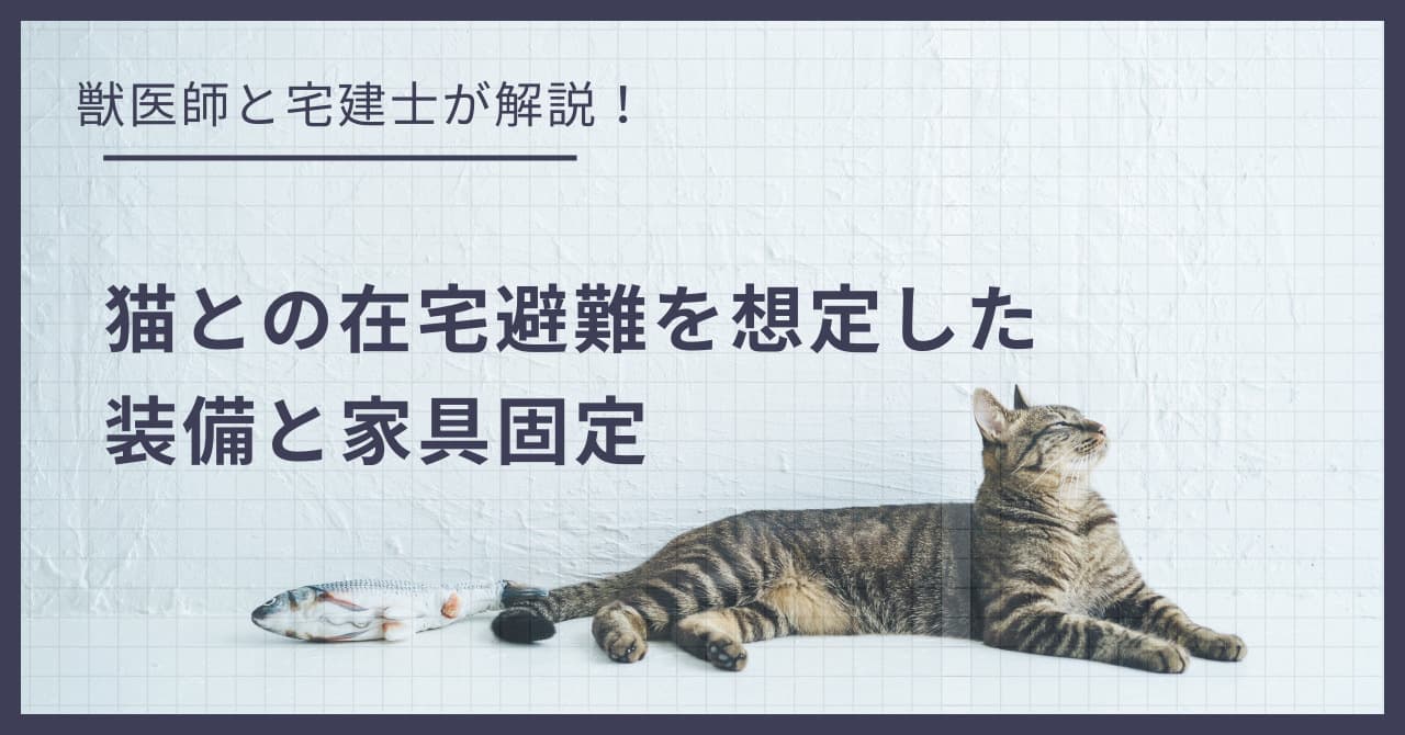 災害時、賃貸マンションは安全?猫との「在宅避難」を想定した備蓄と家具固定