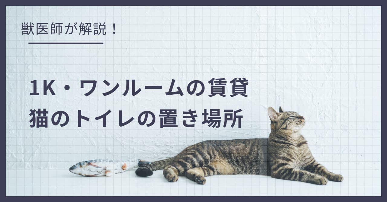 1K・ワンルームの賃貸、猫のトイレはどこに置く?獣医師が勧める配置とニオイ対策