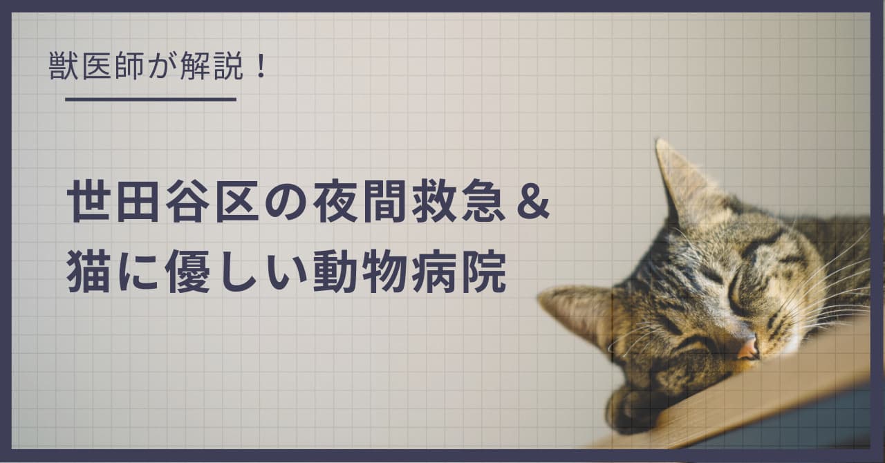世田谷区の猫可賃貸探し!獣医師が選ぶ「夜間救急&猫に優しい動物病院(CFC)」完全ガイド