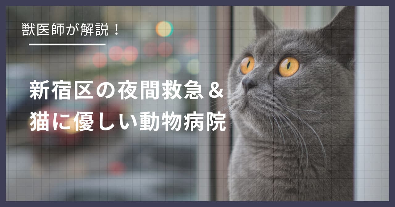 新宿区の猫可賃貸探し!獣医師が選ぶ「夜間救急&猫に優しい動物病院(CFC)」完全ガイド