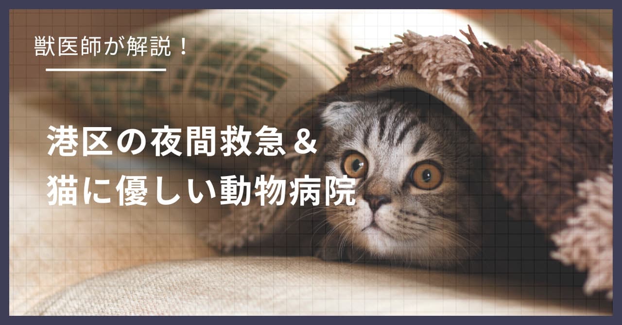 港区の猫可賃貸探し!獣医師が選ぶ「夜間救急&猫に優しい動物病院(CFC)」完全ガイド