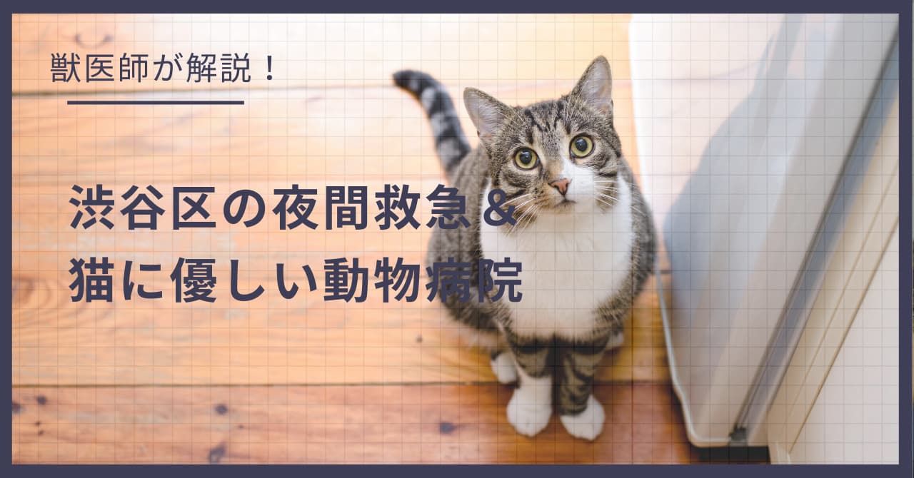 渋谷区の猫可賃貸探し!獣医師が選ぶ「夜間救急&猫に優しい動物病院(CFC)」完全ガイド