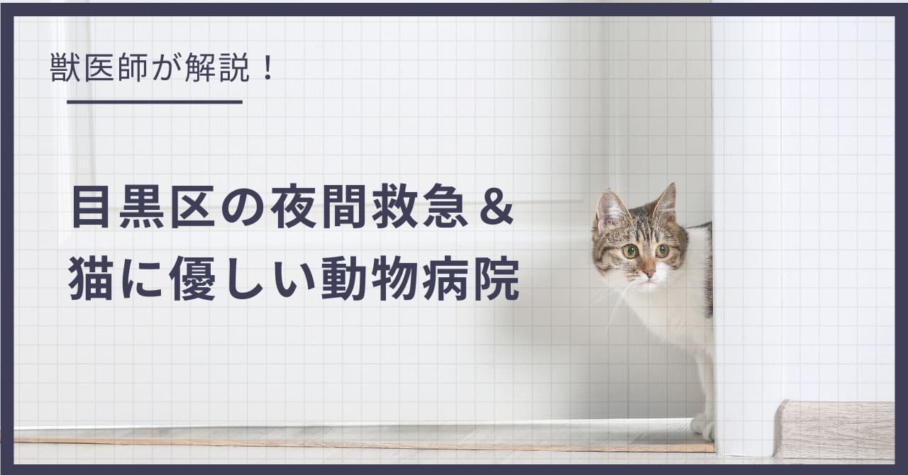 目黒区の猫可賃貸探し!獣医師が選ぶ「夜間救急&猫に優しい動物病院(CFC)」完全ガイド