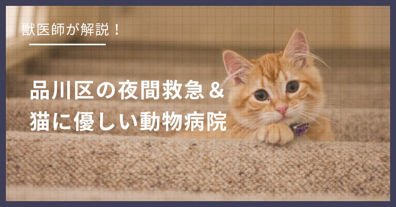 品川区の猫可賃貸探し!獣医師が選ぶ「夜間救急&猫に優しい動物病院(CFC)」完全ガイド