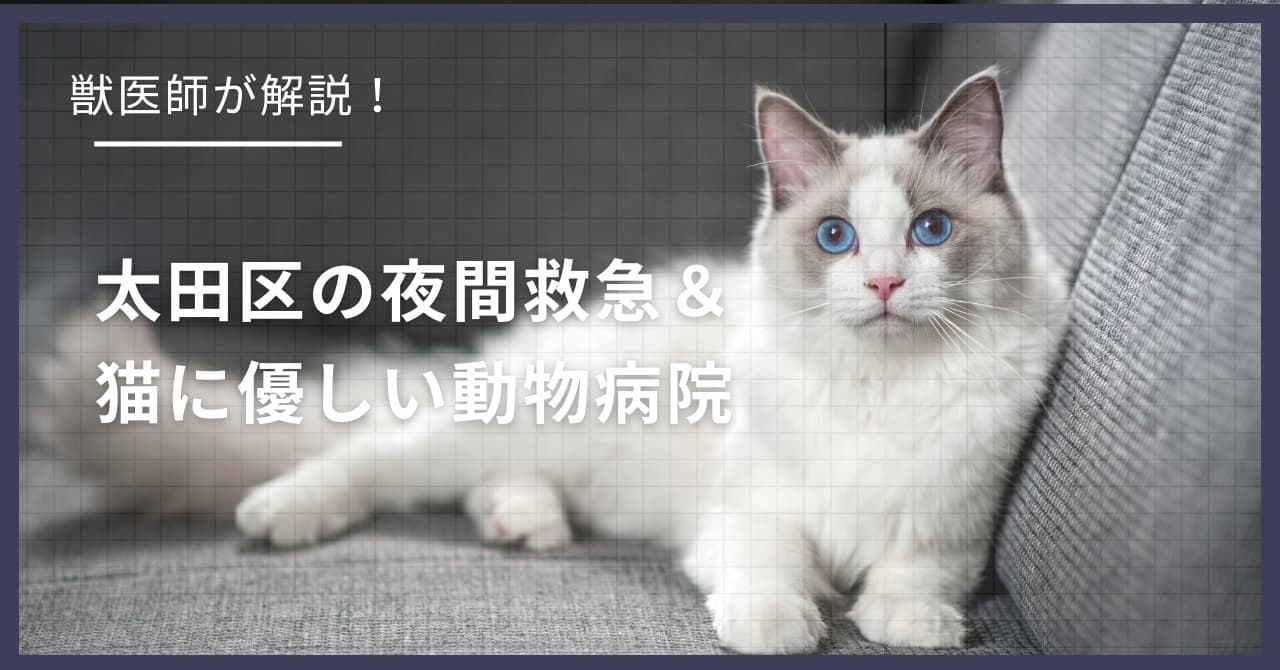 太田区の猫可賃貸探し!獣医師が選ぶ「夜間救急&猫に優しい動物病院(CFC)」完全ガイド
