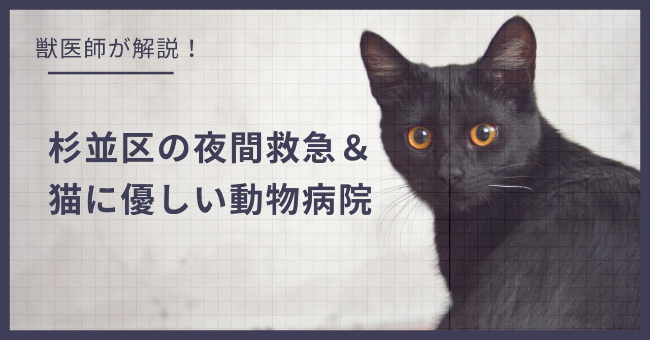 杉並区の猫可賃貸探し!獣医師が選ぶ「夜間救急&猫に優しい動物病院(CFC)」完全ガイド