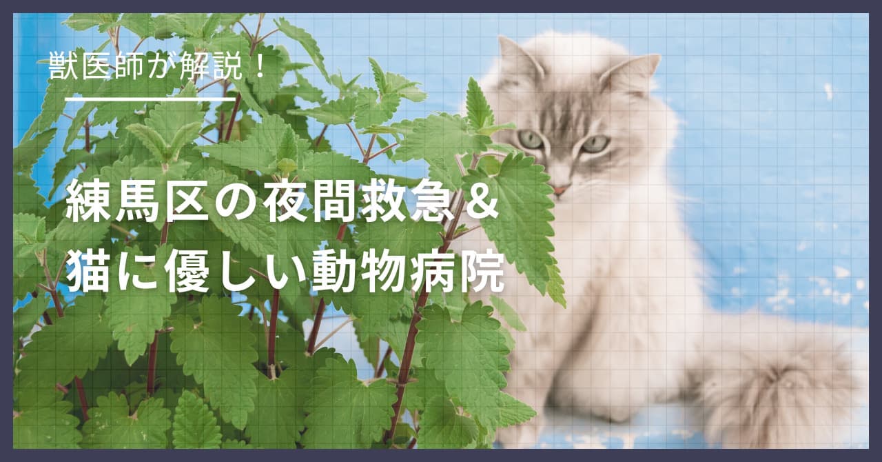 練馬区の猫可賃貸探し!獣医師が選ぶ「夜間救急&猫に優しい動物病院(CFC)」完全ガイド