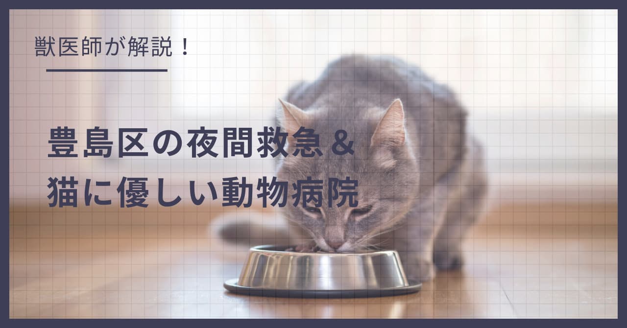 豊島区の猫可賃貸探し!獣医師が選ぶ「夜間救急&猫に優しい動物病院(CFC)」完全ガイド