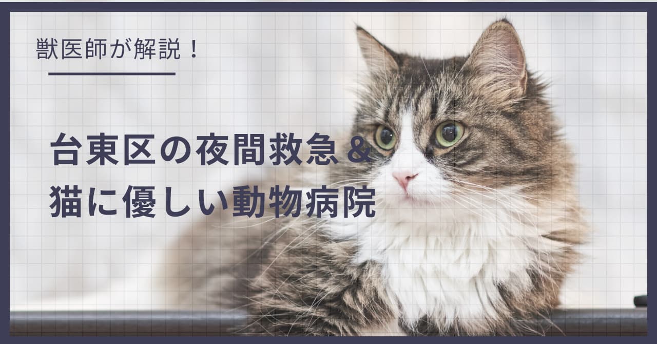 台東区の猫可賃貸探し!獣医師が選ぶ「夜間救急&猫に優しい動物病院(CFC)」完全ガイド