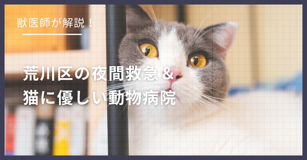 荒川区の猫可賃貸探し!獣医師が選ぶ「夜間救急&猫に優しい動物病院(CFC)」完全ガイド